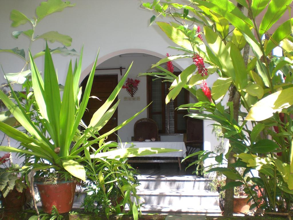 Jickys Nest Hotel Varkala Cameră foto