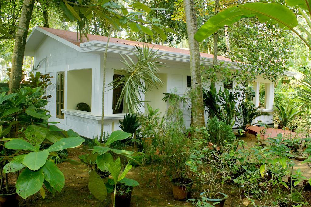 Jickys Nest Hotel Varkala Cameră foto